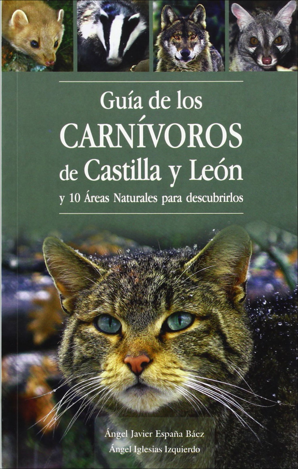 GUÍA DE LOS CARNÍVOROS DE CASTILLA Y LEÓN Y 10 ÁREAS NATURALES PARA DESCUBRIRLOS 1