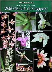 A GUIDE TO THE WILD ORCHIDS OF SINGAPORE 1