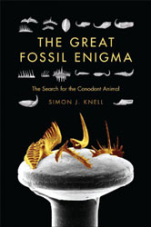 THE GREAT FOSSIL ENIGMA. THE SEARCH FOR THE CONODONT ANIMAL 1