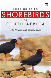 FIELD GUIDE TO SHOREBIRDS OF SOUTH AFRICA 1