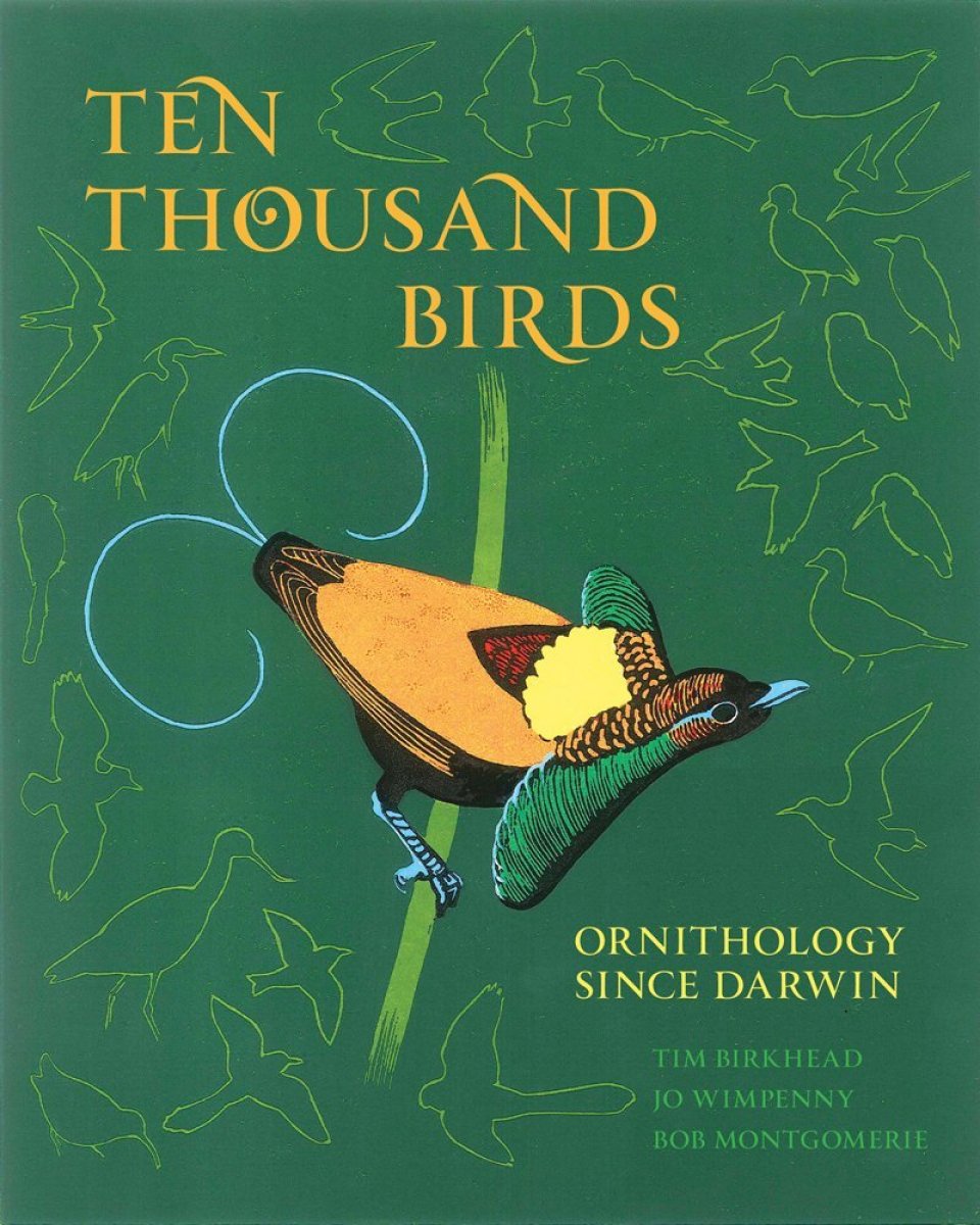 TEN THOUSAND BIRDS. ORNITHOLOGY SINCE DARWIN