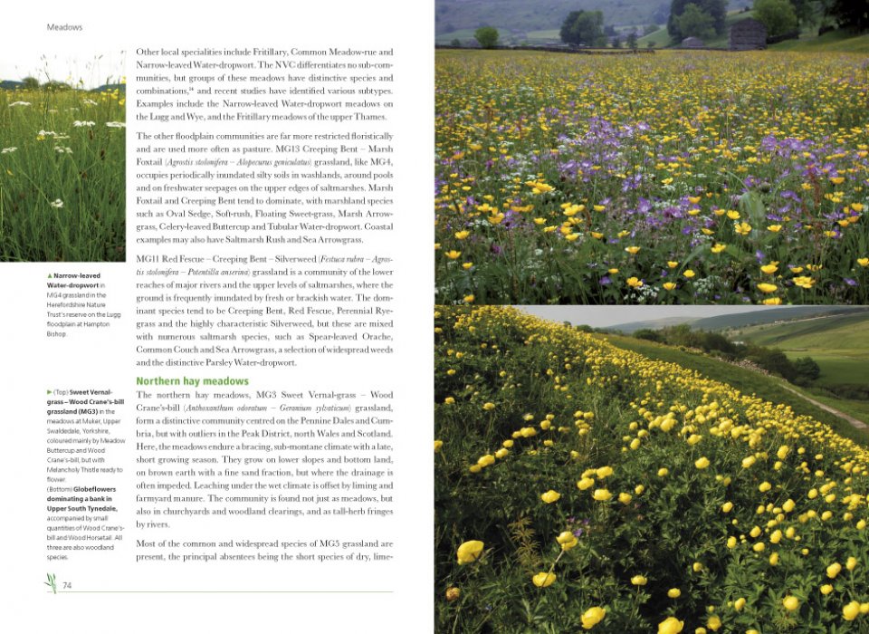 MEADOWS. BRITISH WILDLIFE COLLECTION 3