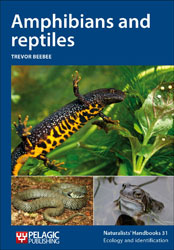AMPHIBIANS AND REPTILES 1
