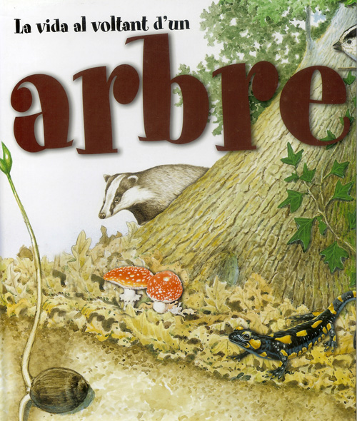 LA VIDA AL VOLTANT D'UN ARBRE