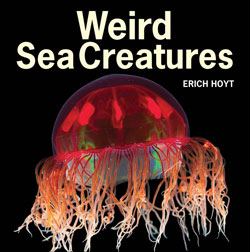 WEIRD SEA CREATURES 1