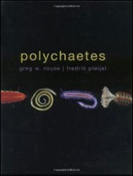 POLYCHAETES 1