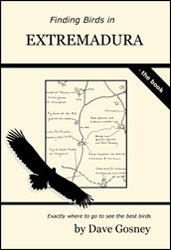 FINDING BIRDS IN EXTREMADURA 1