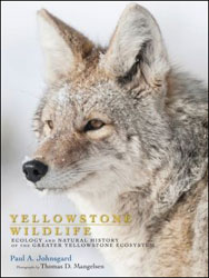 YELLOWSTONE WILDLIFE. ECOLOGY AND NATURAL HISTORY OF THE GREATER YELLOWSTONE ECOSYSTEM 1