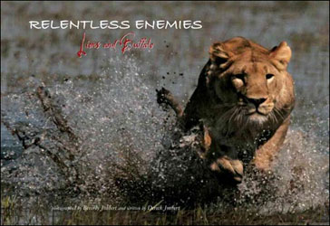 RELENTLESS ENEMIES: LIONS AND BUFFALO 1