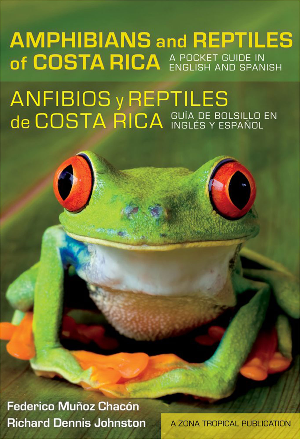 ANFIBIOS Y REPTILES DE COSTA RICA. GUÍA DE BOLSILLO EN INGLÉS Y ESPAÑOL 1
