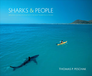 SHARKS AND PEOPLE 1