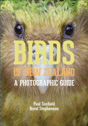 BIRDS OF NEW ZEALAND. A PHOTOGRAPHIC GUIDE 1