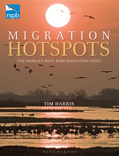 MIGRATION HOTSPOTS. THE WORLD'S BEST BIRD MIGRATION SITES