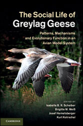 THE SOCIAL LIFE OF GREYLAG GEESE