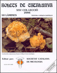 COL·LECCIÓ DE BOLETS DE CATALUNYA. VOLUM XXV A XXXI 1