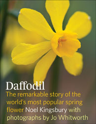 DAFFODIL. THE REMARKABLE STORY OF THE WORLD'S MOST POPULAR SPRING FLOWER 1