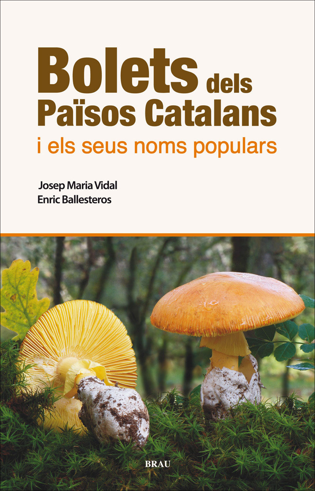 BOLETS DELS PAÏSOS CATALANS I ELS SEUS NOMS POPULARS. ELS MILLORS COMESTIBLES I ELS MÉS VERINOSOS 1