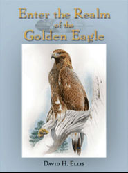 ENTER THE REALM OF THE GOLDEN EAGLE 1