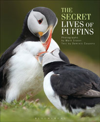 THE SECRET LIVES OF PUFFINS 1