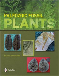 PALEOZOIC FOSSIL PLANTS 1