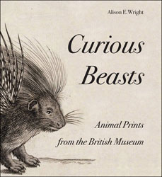 CURIOUS BEASTS 1