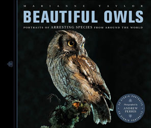 BEAUTIFUL OWLS. PORTRAITS OF ARRESTING SPECIES FROM AROUND THE WORLD 1