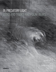 IN PREDATORY LIGHT: LIONS AND TIGERS AND POLAR BEARS 1