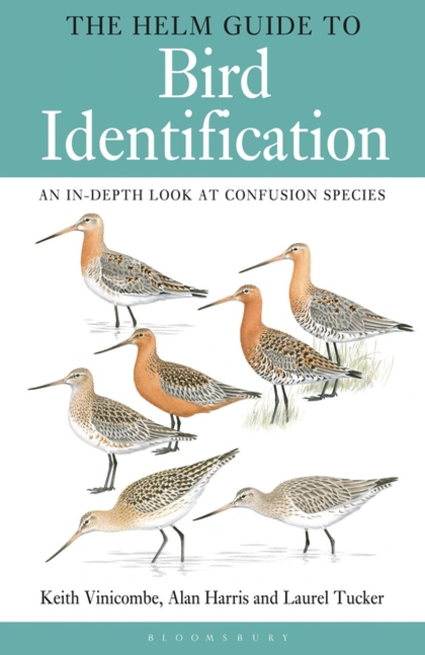 THE HELM GUIDE TO BIRD IDENTIFICATION. AN IN-DEPTH LOOK AT THE CONFUSION SPECIES 1
