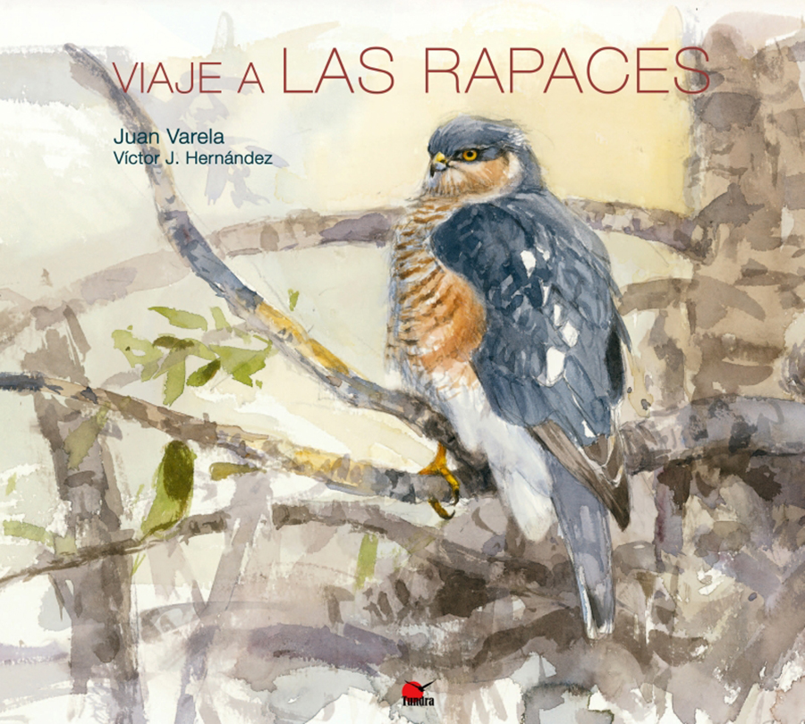 VIAJE A LAS RAPACES 1