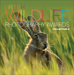 BRITISH WILDLIFE PHOTOGRAPHY AWARDS. COLLECTION 4 1