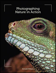 PHOTOGRAPHING NATURE IN ACTION 1