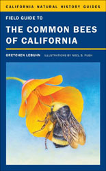 FIELD GUIDE TO THE COMMON BEES OF CALIFORNIA. INCLUDING BEES OF THE WESTERN UNITED STATES 1