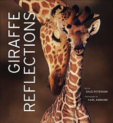 GIRAFFE REFLECTIONS 1