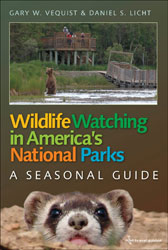WILDLIFE WATCHING IN AMERICA'S NATIONAL PARKS: A SEASONAL GUIDE 1