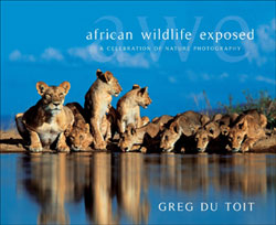 AFRICAN WILDLIFE EXPOSED: A CELEBRATION OF NATURE PHOTOGRAPHY 1