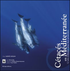 CÉTACÉS EN MÉDITERRANÉE 2