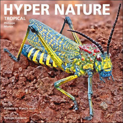 HYPER NATURE TROPICAL 1