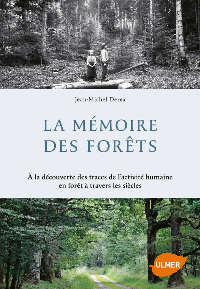 LA MÉMOIRE DES FORÊTS 1