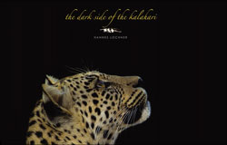 THE DARK SIDE OF THE KALAHARI 1