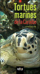 TORTUES MARINES DE LA CARAÏBE 1