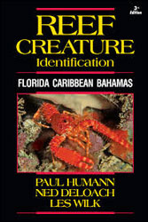 REEF CREATURE IDENTIFICATION: FLORIDA CARIBBEAN BAHAMAS 1
