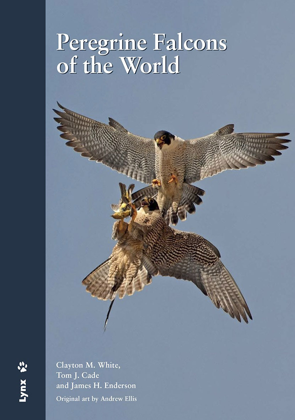 PEREGRINE FALCONS OF THE WORLD 1
