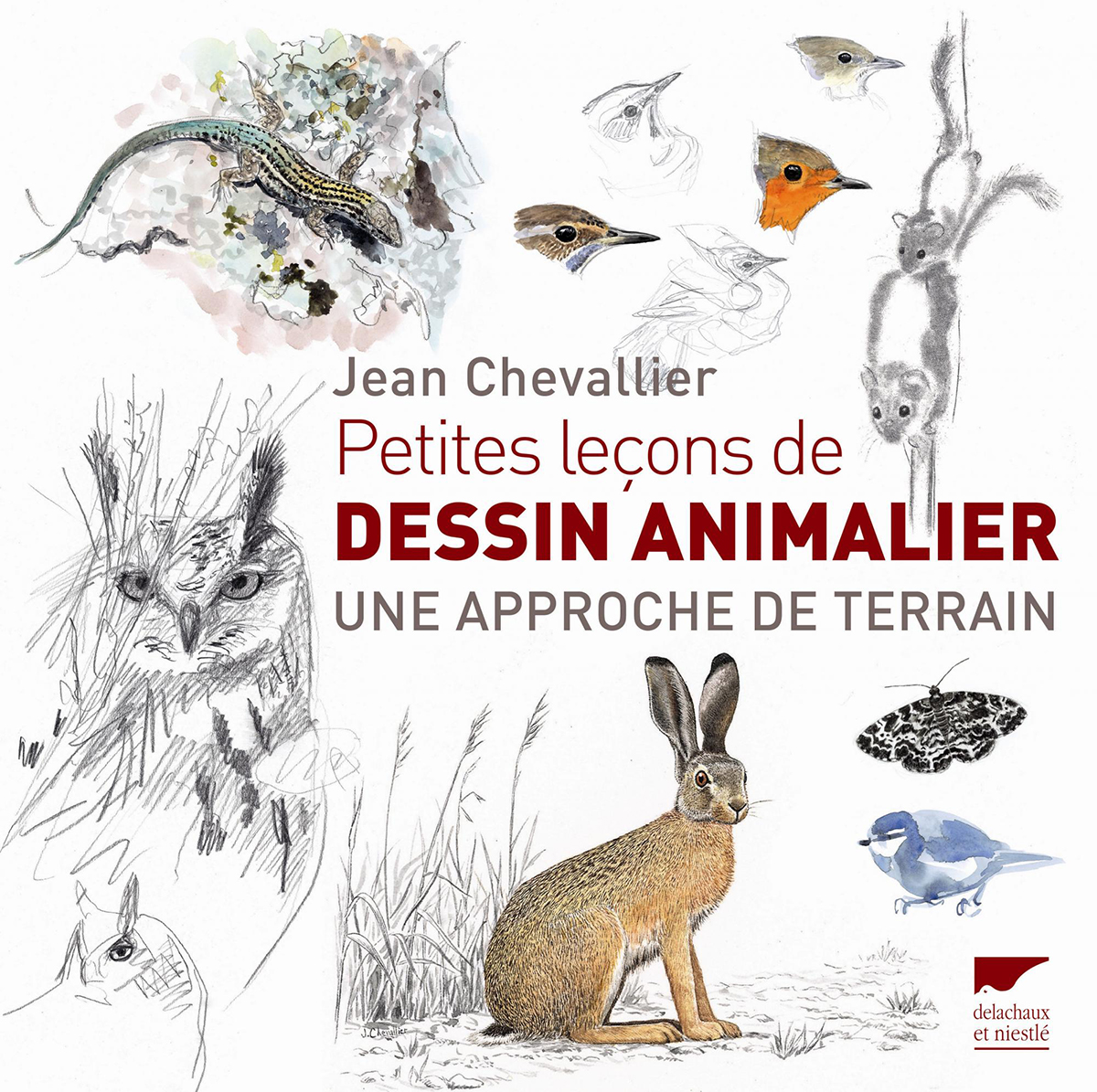 PETITES LEÇONS DE DESSIN ANIMALIER. UNE APPROCHE DE TERRAIN