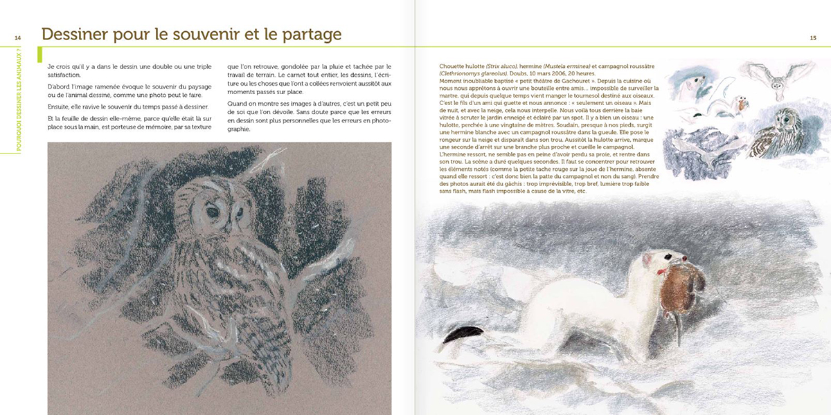 PETITES LEÇONS DE DESSIN ANIMALIER. UNE APPROCHE DE TERRAIN 2