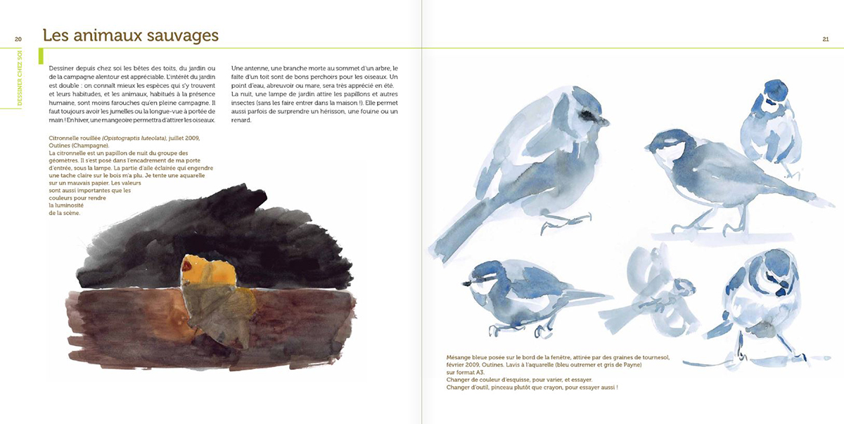 PETITES LEÇONS DE DESSIN ANIMALIER. UNE APPROCHE DE TERRAIN 3
