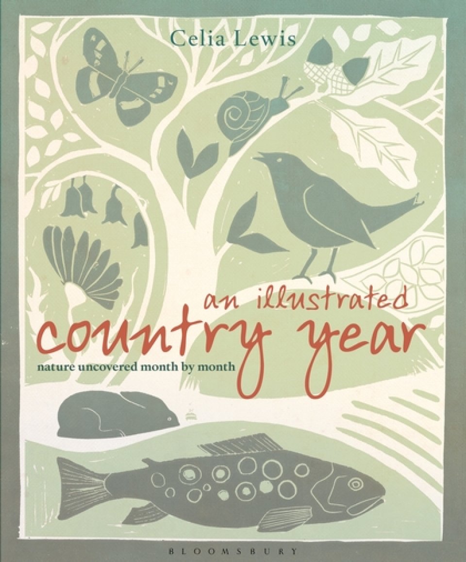 AN ILLUSTRATED COUNTRY YEAR. NATURE UNCOVERED MONTH BY MONTH