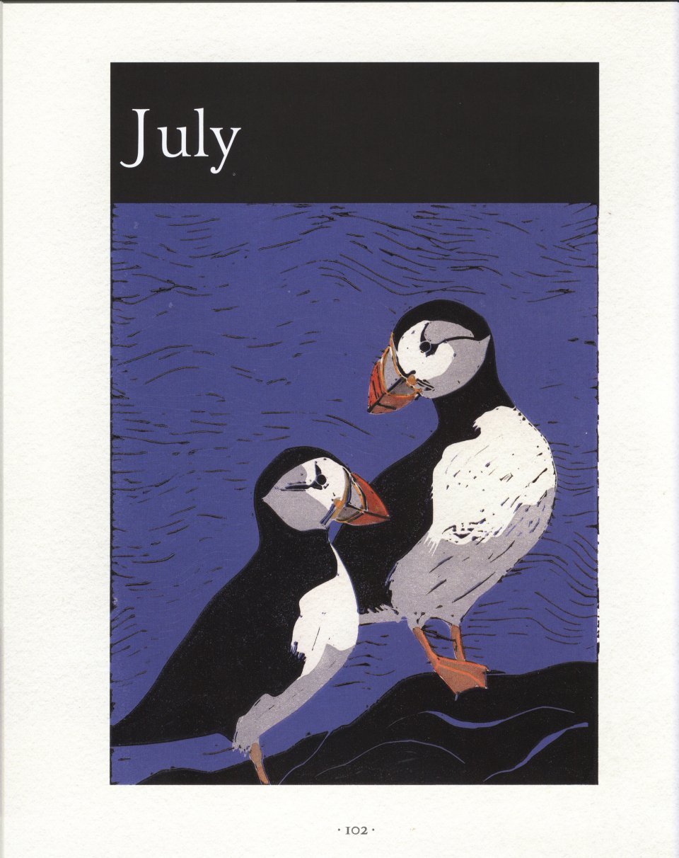 AN ILLUSTRATED COUNTRY YEAR. NATURE UNCOVERED MONTH BY MONTH 4