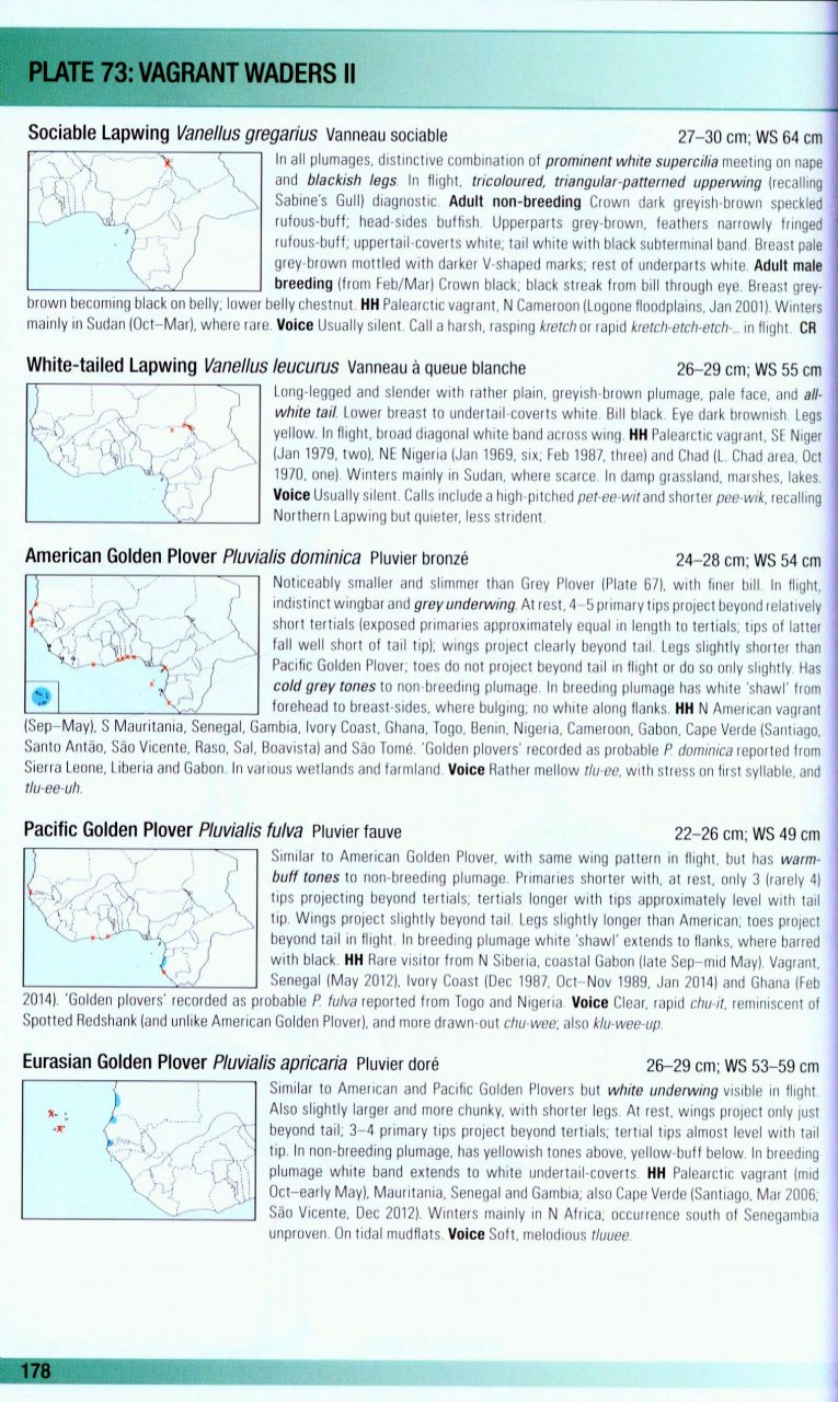 HELM FIELD GUIDES. BIRDS OF WESTERN AFRICA. 2ND ED. 2
