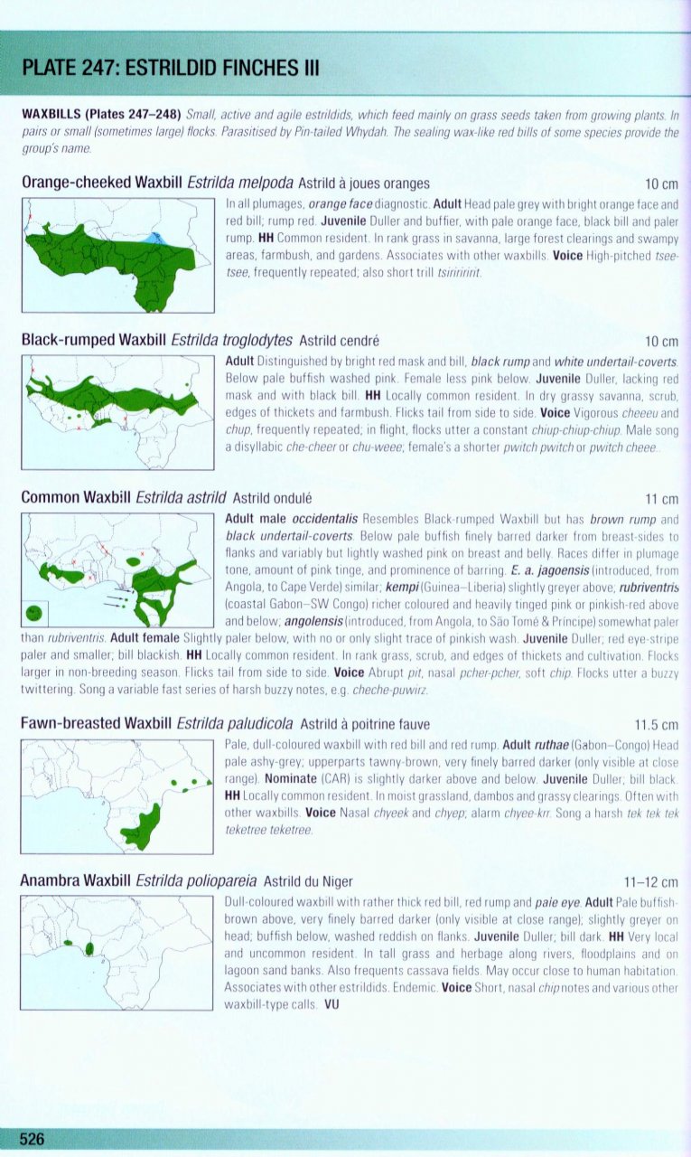 HELM FIELD GUIDES. BIRDS OF WESTERN AFRICA. 2ND ED. 7