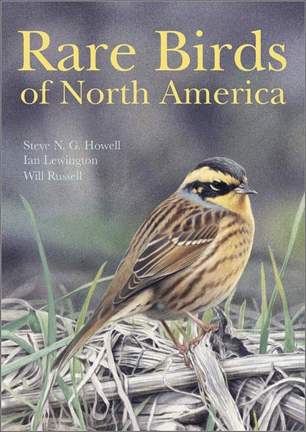 RARE BIRDS OF NORTH AMERICA